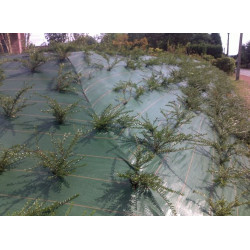 toile de paillage vert 