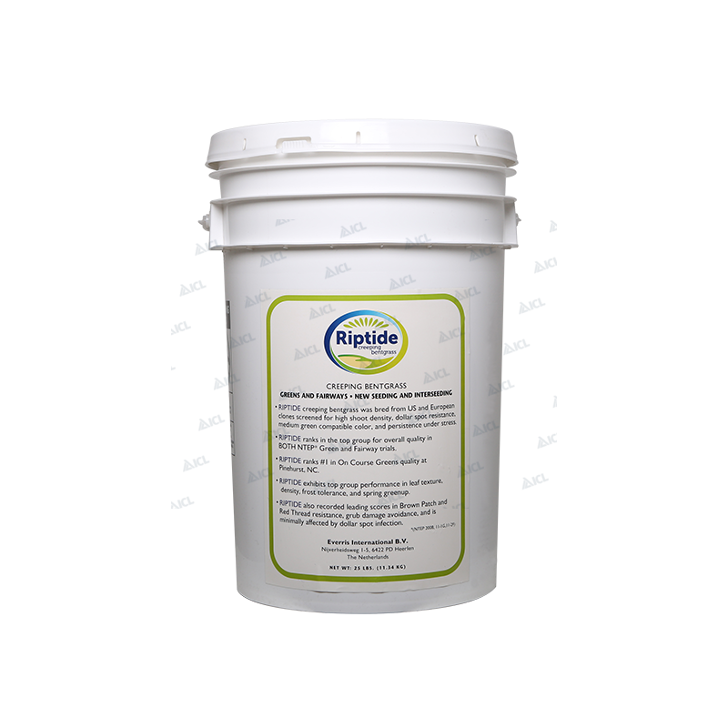 AGROSTIS STOLONIFERE RIPTIDE - Gazon polyvalent à levée rapide chez So'vert environnement