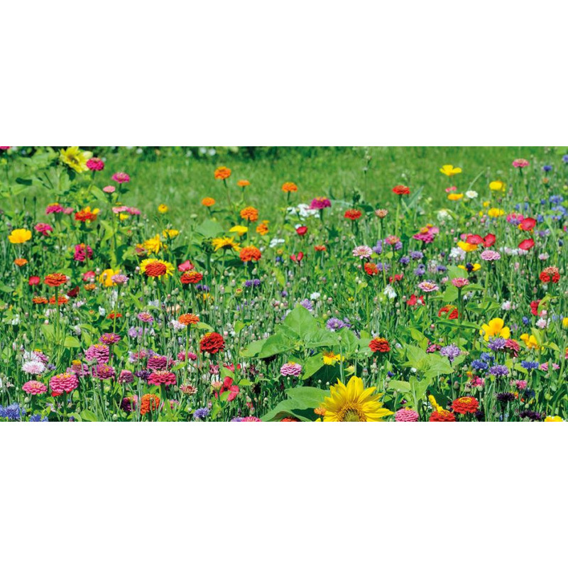 melange fleuri Cueillette  Mélange fleuri pour bouquets champêtres chez So'vert environnement