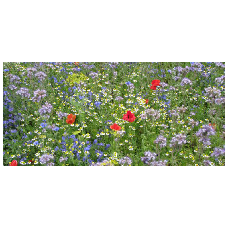 FLEURS DE LA NATURE UNIVERSEL - SOVERT ENVIRONNEMENT