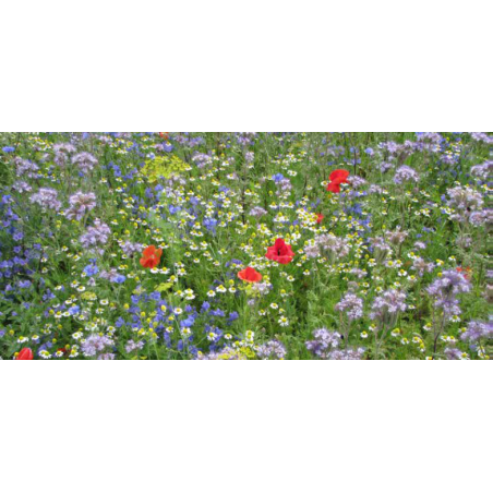 FLEURS DE LA NATURE UNIVERSEL - SOVERT ENVIRONNEMENT