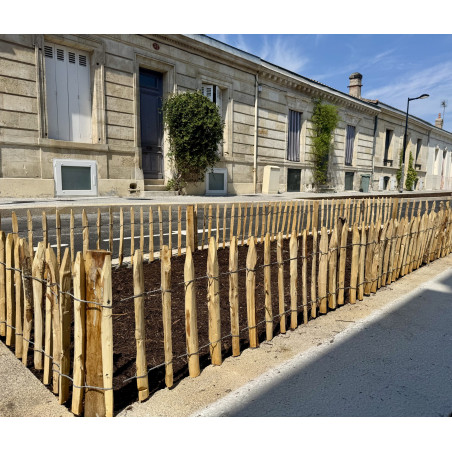 GANIVELLE CHATAIGNER REFENDU