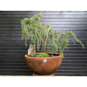 Vasque Atoll  - Grand Pot Jardin Design & Durable | So-Vert