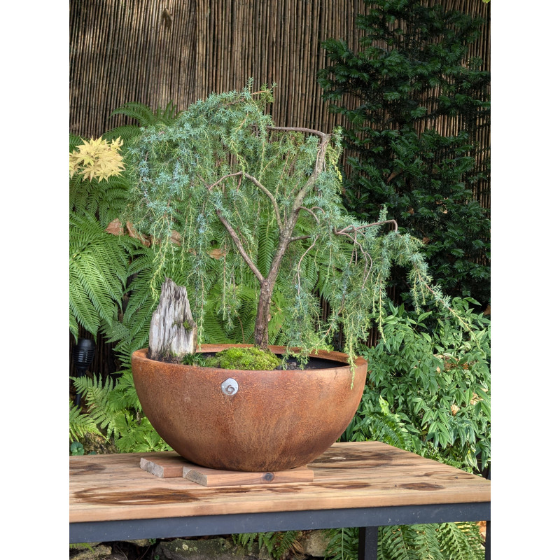 Vasque Atoll Effet Corten - Grand Pot Jardin Design & Durable | So-Vert
