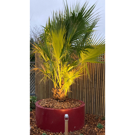 Pot extérieur RODEO Ouvert – Design contemporain PEHD | SO’VERT ENVIRONNEMENT