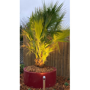 Pot extérieur RODEO Férmé – Design contemporain PEHD | SO’VERT ENVIRONNEMENT
