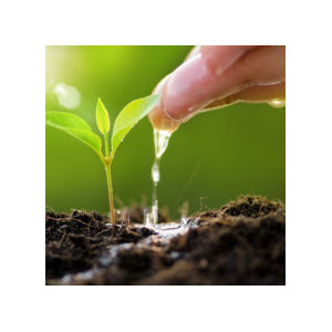 LITHOMER CALCIFLOW S chez So-vert.com