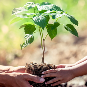 MULTIPLANTES  CHITOSAN SPORT chez So-vert.com