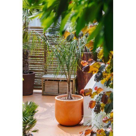 Pot LUNE PAPI – Grand pot extérieur 110 à 650 L