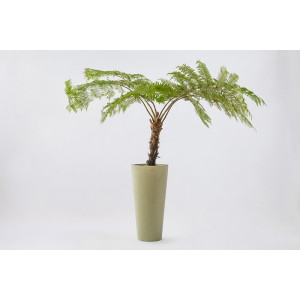 Pot DESIGN ROND Velours PAPI – Grand pot haut extérieur