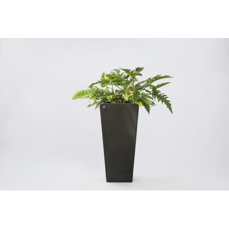 Pot DESIGN CARRÉ PAPI – Pot haut extérieur avec bac