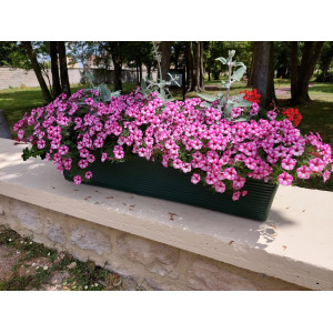 Balconnière PAPI – Balconnière extérieure avec réserve d’eau