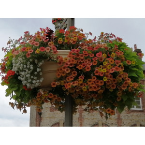 Demi-Vasque PAPI – Jardinière pour candélabre avec réserve d’eau