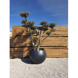 Pot MILÉO PAPI – Grand pot extérieur 200 à 500 L