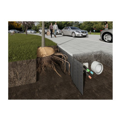 Tree Root Guide - Paroi Guide Racine