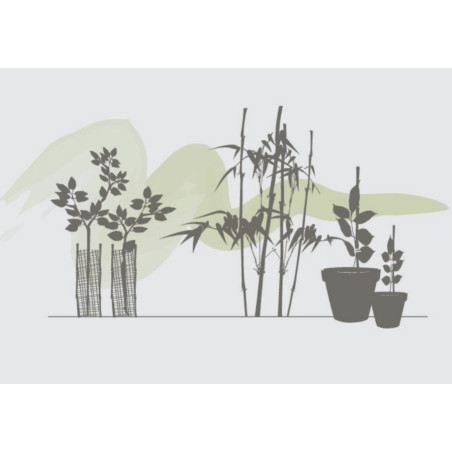 TUTEURS BAMBOU | SO'VERT ENVIRONNEMENT