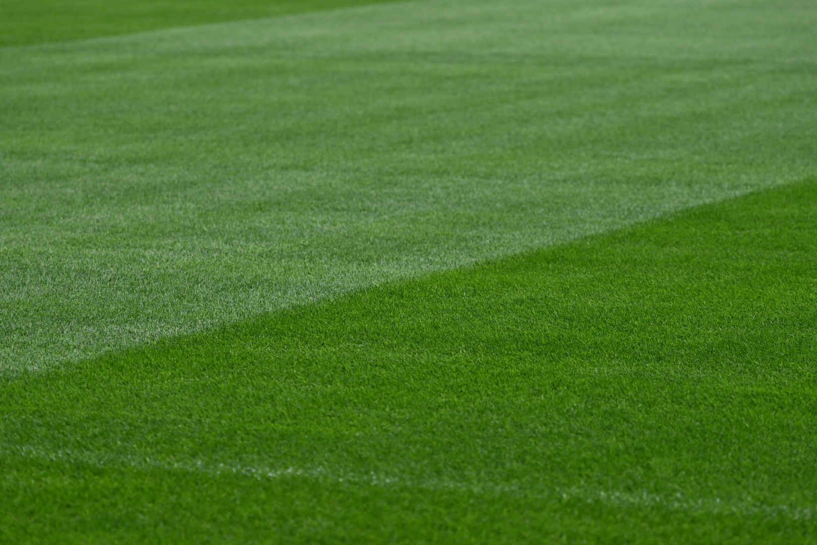 Réussir la sortie d’hiver du gazon : les bonnes pratiques